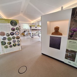 Ausstellung "Wo die wilden Pflanzen leb(t)en"