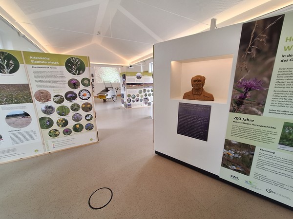 Blick in die Ausstellung mit Informationstafeln und der Büste des Clemens von Bönninghausen
