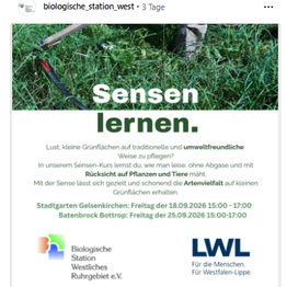 Plakat zur Veranstaltung "Sensen lernen" mit Infos und einem Foto von einer Sense beim Mähen.