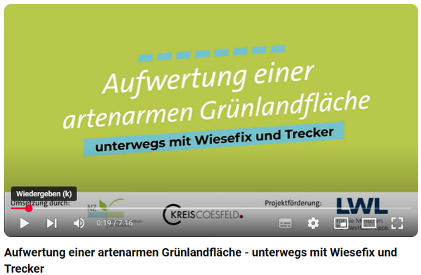 Titel des Ausstellungsfilms "Aufwertung einer artenarmen Grünlandfläche"