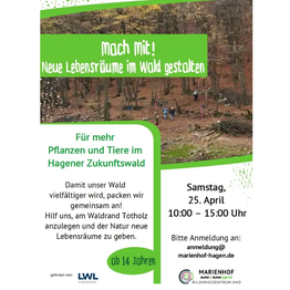 Poster zur Aktion im Wald