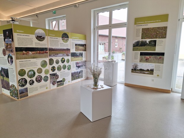 Blick in Ausstellungsraum mit Wandtafeln und Podest mit Wiesenblumen Blick in Ausstellungsraum mit Wandtafeln und Podest mit Wiesenblumen