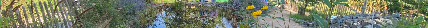 Teich, umrandet von bunt blühenden Blumen.