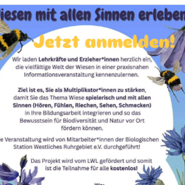 Poster "Wiesen mit allen Sinnen erleben"
