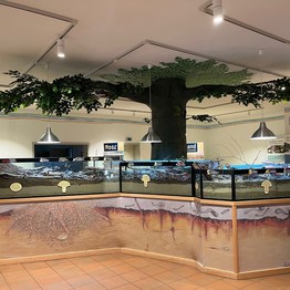 Ausstellungselement "Pilze" im Naturparkhaus in Dorsten-Lembeck