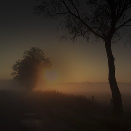 Heidelandschaft bei Dämmerung