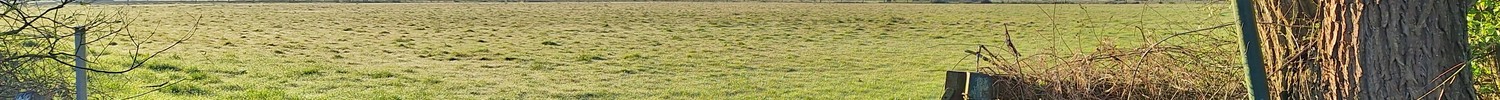 Blick in eine Feuchtwiesenlandschaft. Am Rand steht ein Schild "Naturschutzgebiet".