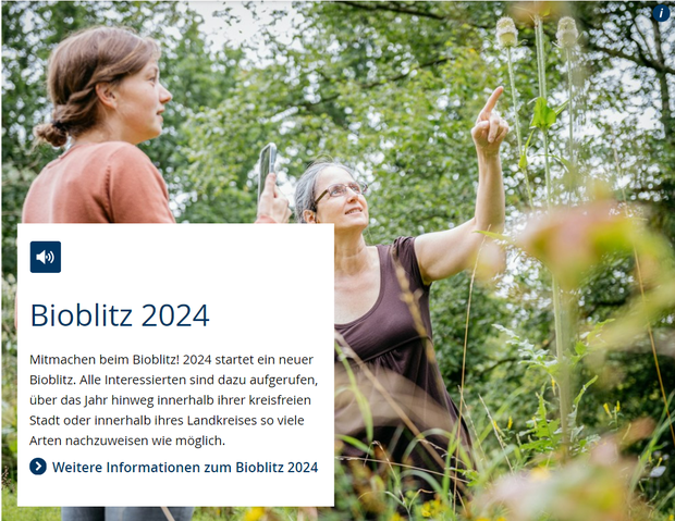 Aufruf zum Bioblitz 2024
