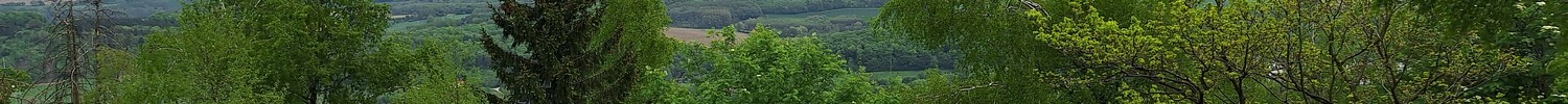 Ausblick vom Velmerstot in den Naturpark Teutoburger Wald, im Vordergrund sind Wanderschuhe zu sehen.