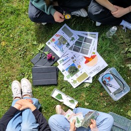 Materialien zum Bestimmen von Pflanzen und Tieren.