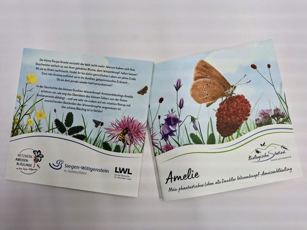 Titelseite und Rückseite des Büchleins mit dem Titel "Amelie - Mein phantastisches Leben als Dunkler Wiesenknopf-Ameisenbläuling"